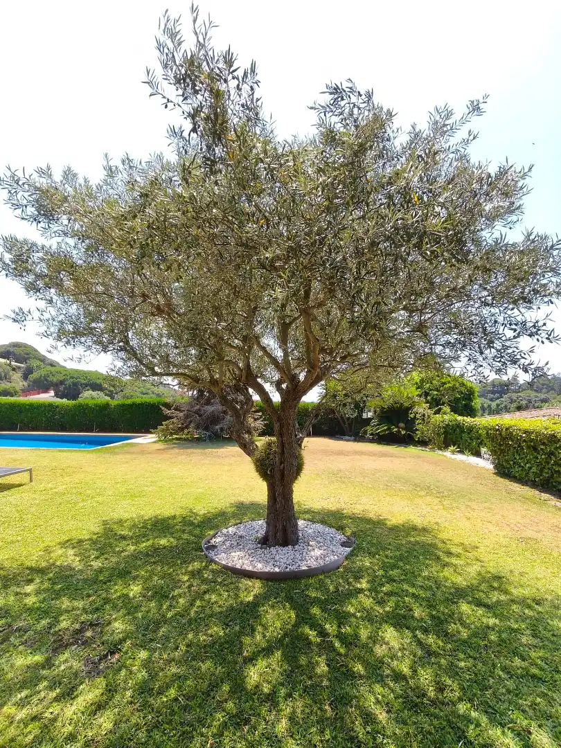 Garden of Houses for sale in Sant Andreu de Llavaneres  with Air Conditioner, Heating and Private garden