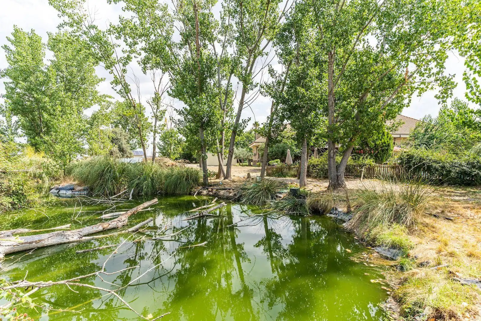 Vista exterior de Casa o chalet en venta en Fuente El Saz de Jarama con Aire acondicionado, Calefacción y Piscina
