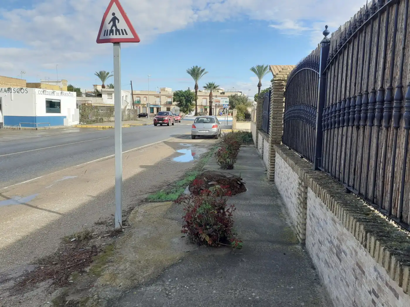 Terreno rustico in vendita a La Laguna, imagen 10