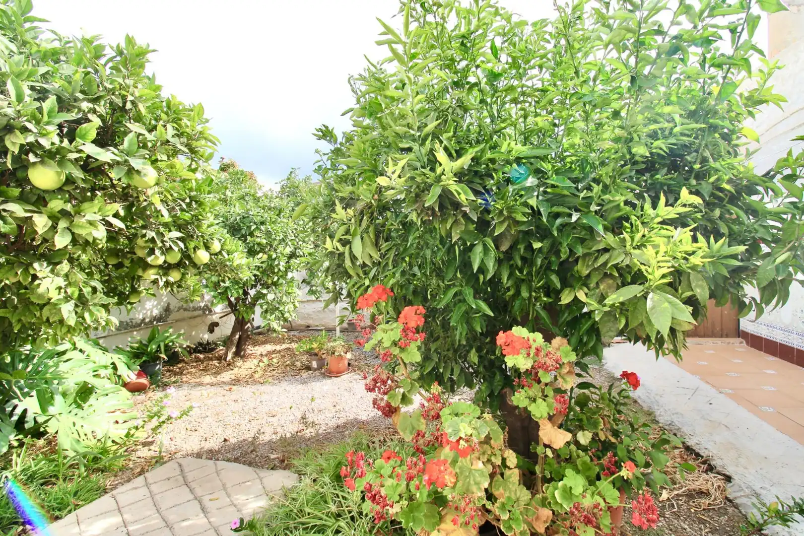 Garden of Country homes for sale in Las Cabañuelas