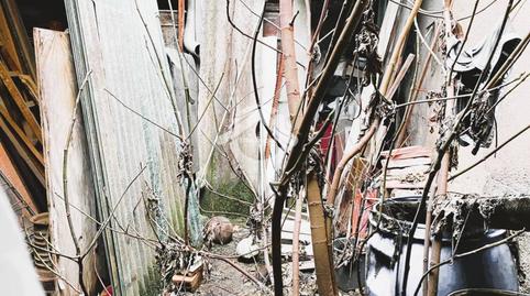 Foto 4 de Casa o chalet en venta en Calle Goethe, Can Rull, Sabadell