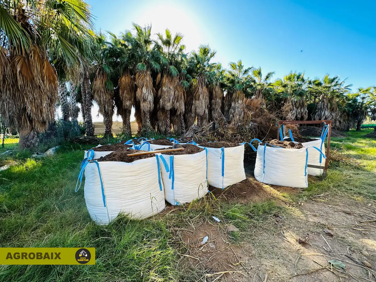 Terreno rustico in vendita a Eixample, imagen 31
