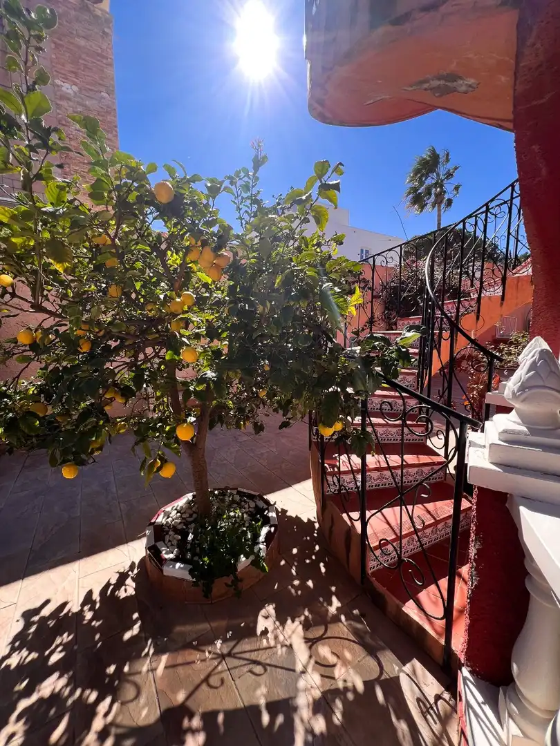 Terraza de Casa adosada en venta en Torrevieja con Aire acondicionado, Calefacción y Jardín privado