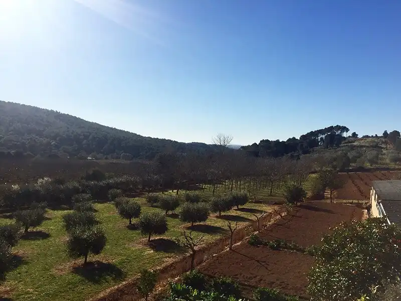 Country homes for sale in Cistella