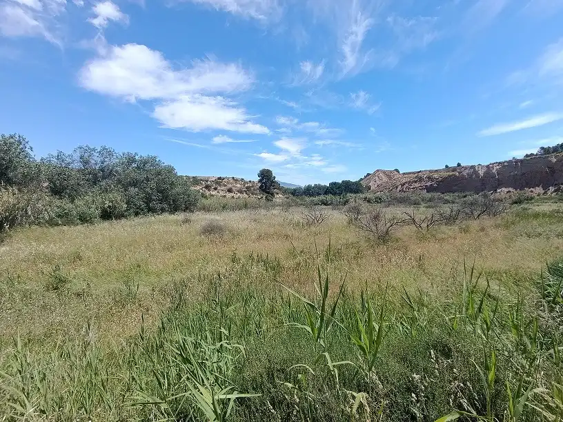 Lands and plots for sale in Mula, imagen 18