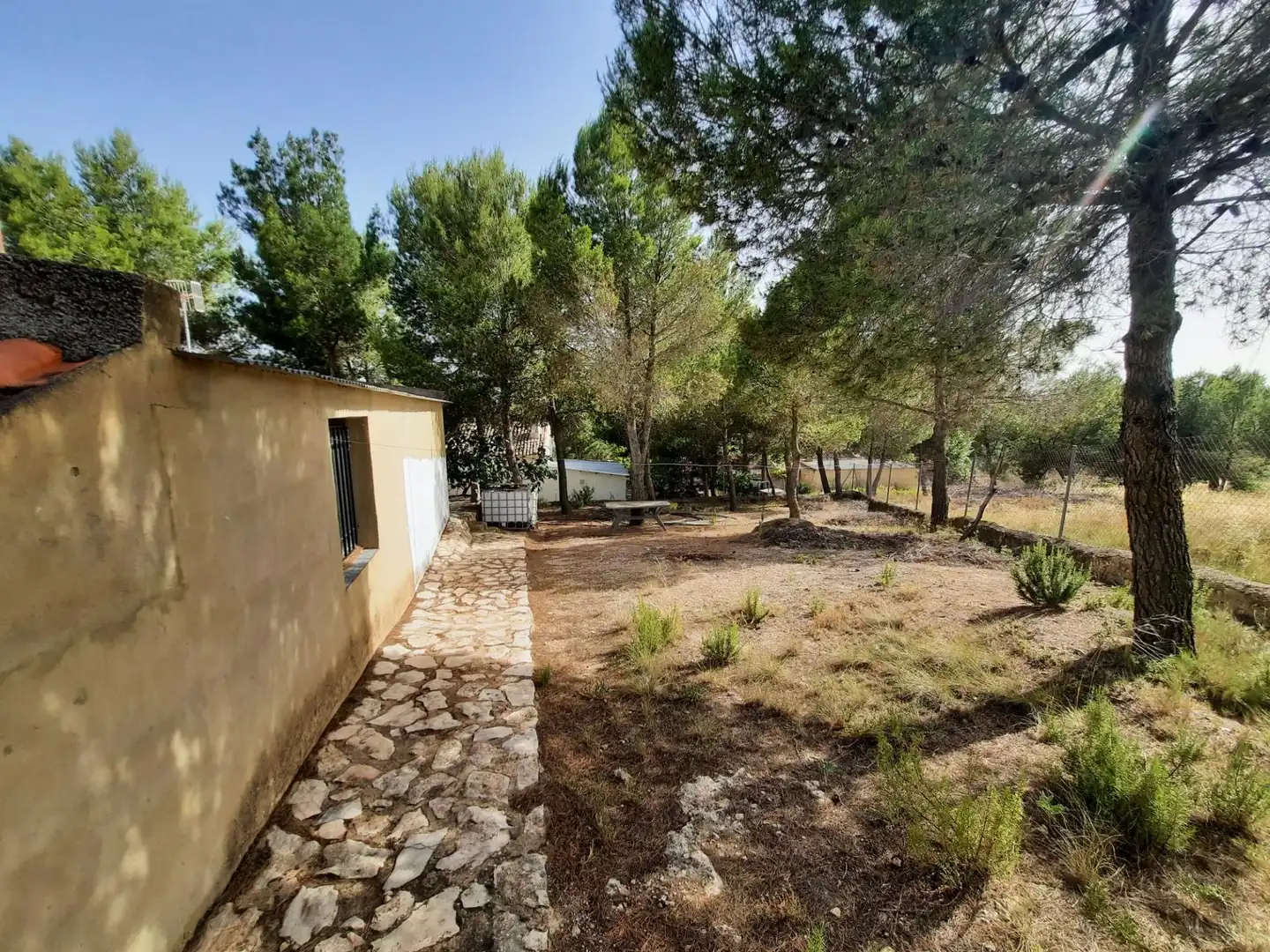 Jardín de Casa o chalet en venta en Alpera con Amueblado