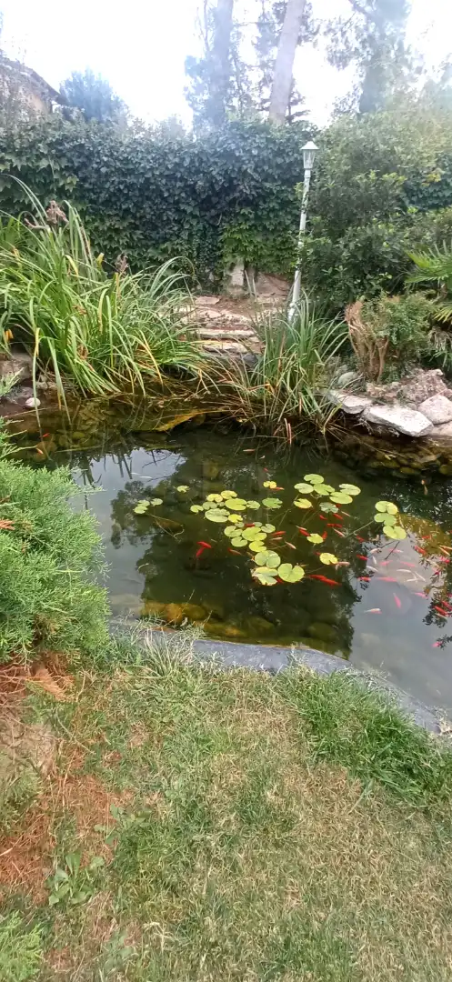 Jardín de Casa o chalet en venta en La Pobla de Claramunt con Aire acondicionado, Calefacción y Jardín privado