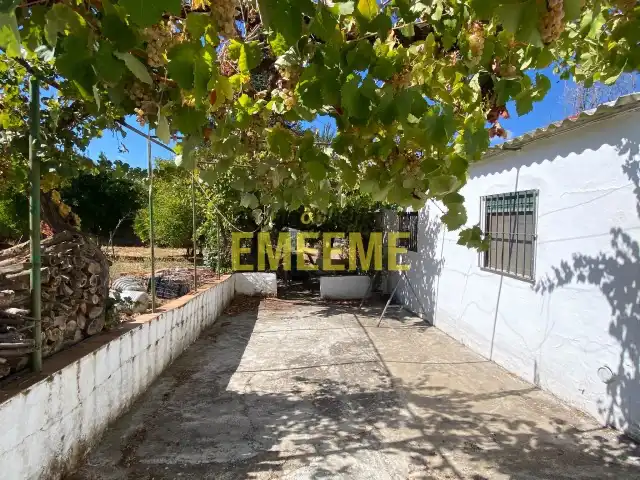 Detached house with pool for sale in Arriate, imagen 12