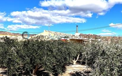 Vista exterior de Finca rústica en venda en Cuevas del Almanzora amb Aire condicionat, Terrassa i Piscina