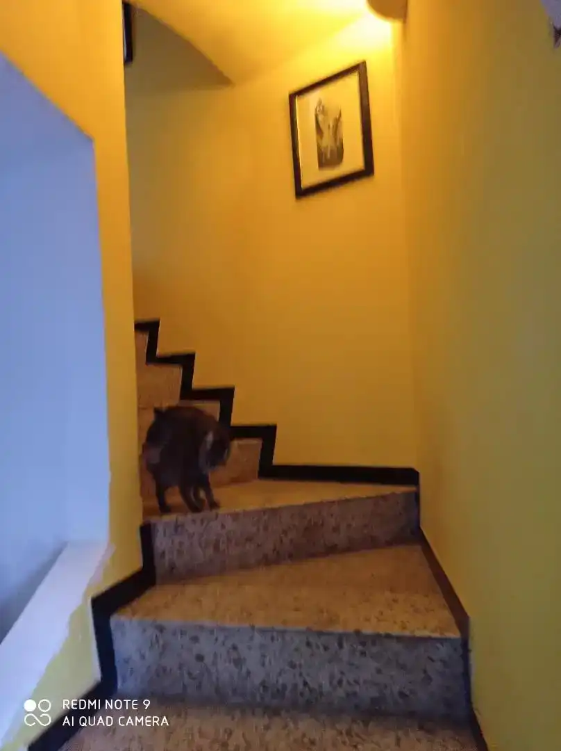 Casa adosada en venda en Zambrana
