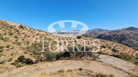 Foto 5 de Residencial en venta en Polígono Parcela 32, 11, Colmenar, Málaga