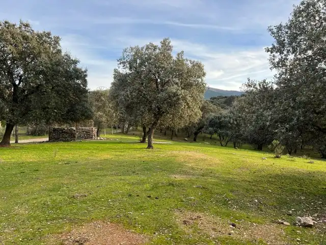 Terreno en venta en Almendral de la Cañada, Toledo