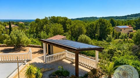Foto 5 de Finca rústica en venta en Ds Poligono 12, El Perelló, Tarragona