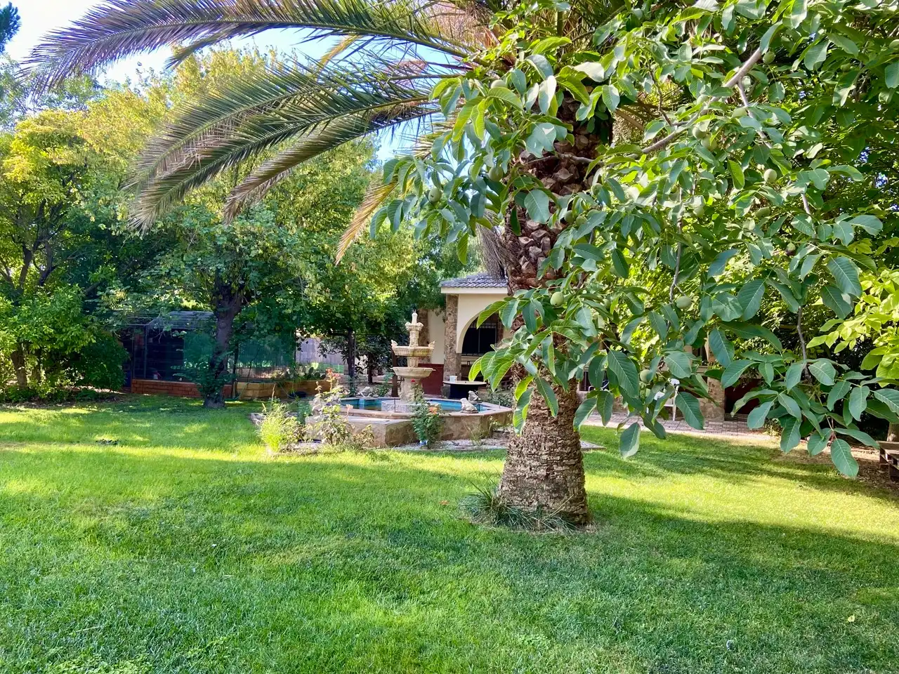 Jardín de Casa o chalet en venta en Ciudad Real con Aire acondicionado, Calefacción y Jardín privado