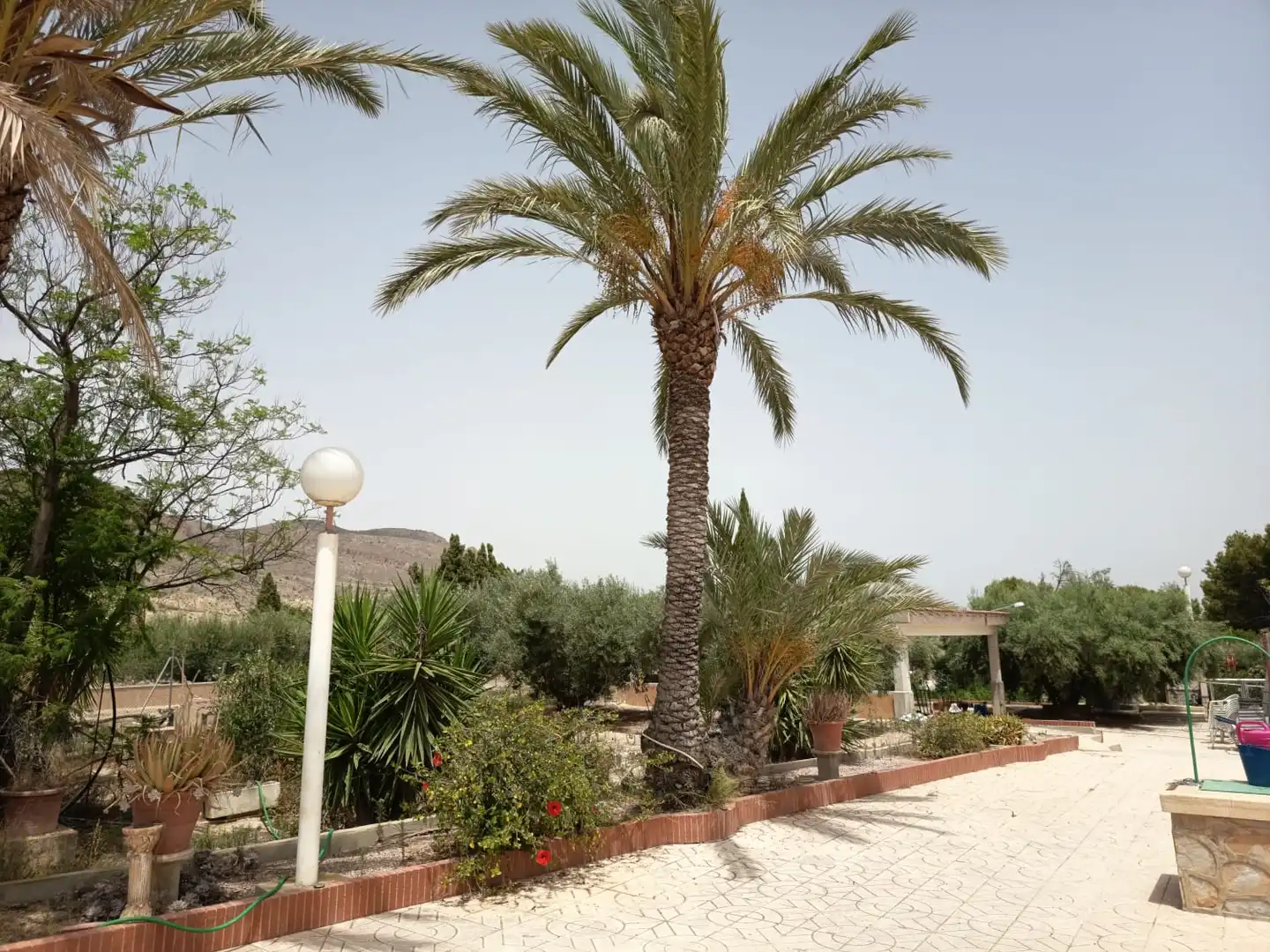 Jardí de Casa o xalet en venda en Alicante / Alacant amb Jardí privat, Terrassa i Piscina