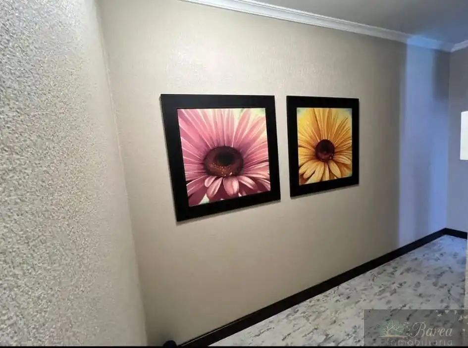Maison à vendre à Rute, imagen 6