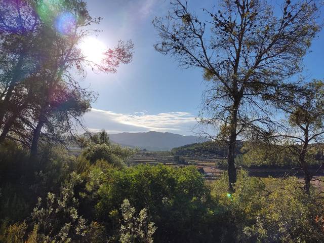 Terreno en Venta en Cami Modefars, 13 en Bot