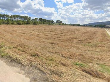 Terreno rustico in vendita a Agullent