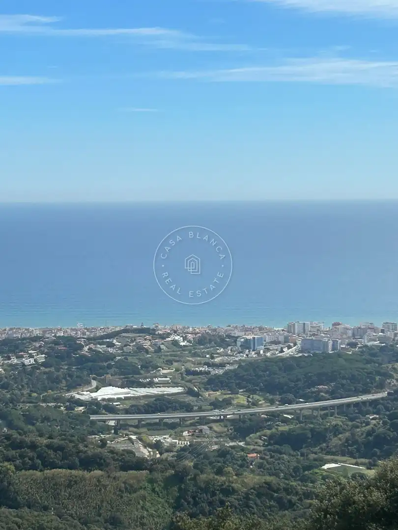 Exterior view of Houses for sale in Pineda de Mar  with Terrace