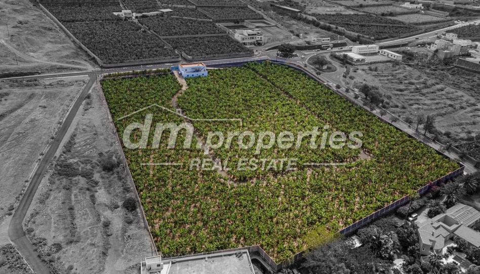 Foto 1 de Finca rústica en venda a Armeñime - Las Moraditas - Las Cancelas, Santa Cruz de Tenerife