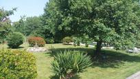 Garden of House or chalet for sale in O Pereiro de Aguiar   with Private garden