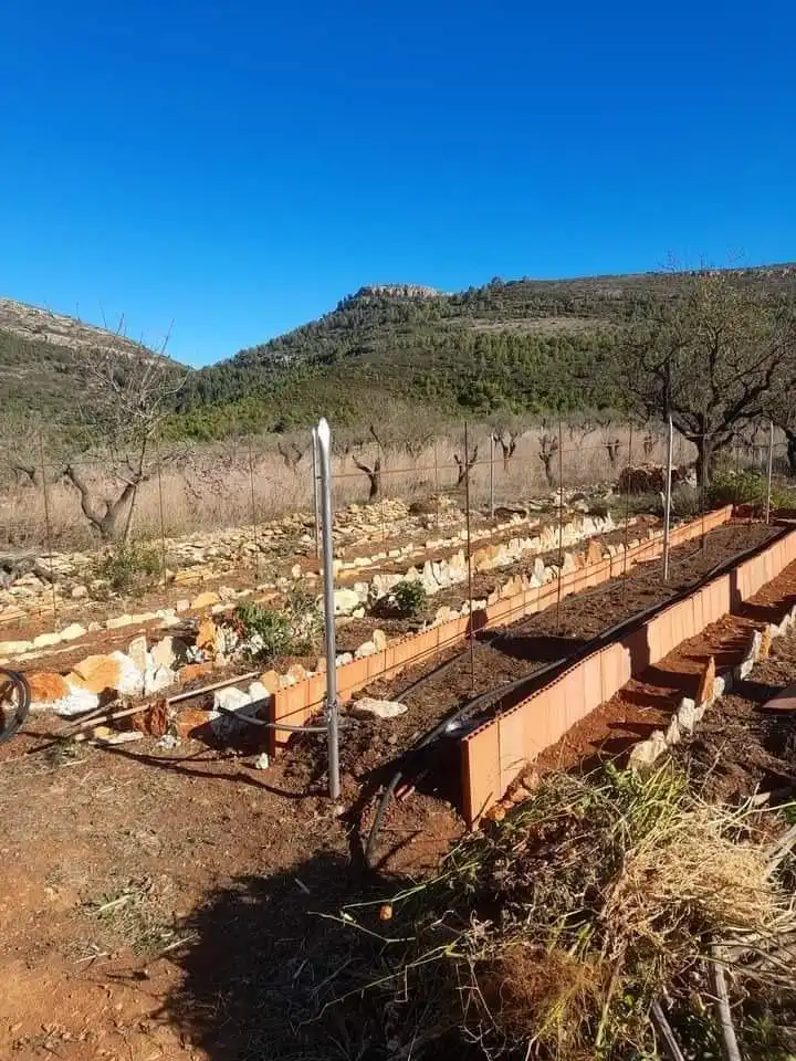 Jardín de Finca rústica en venta en Llíber
