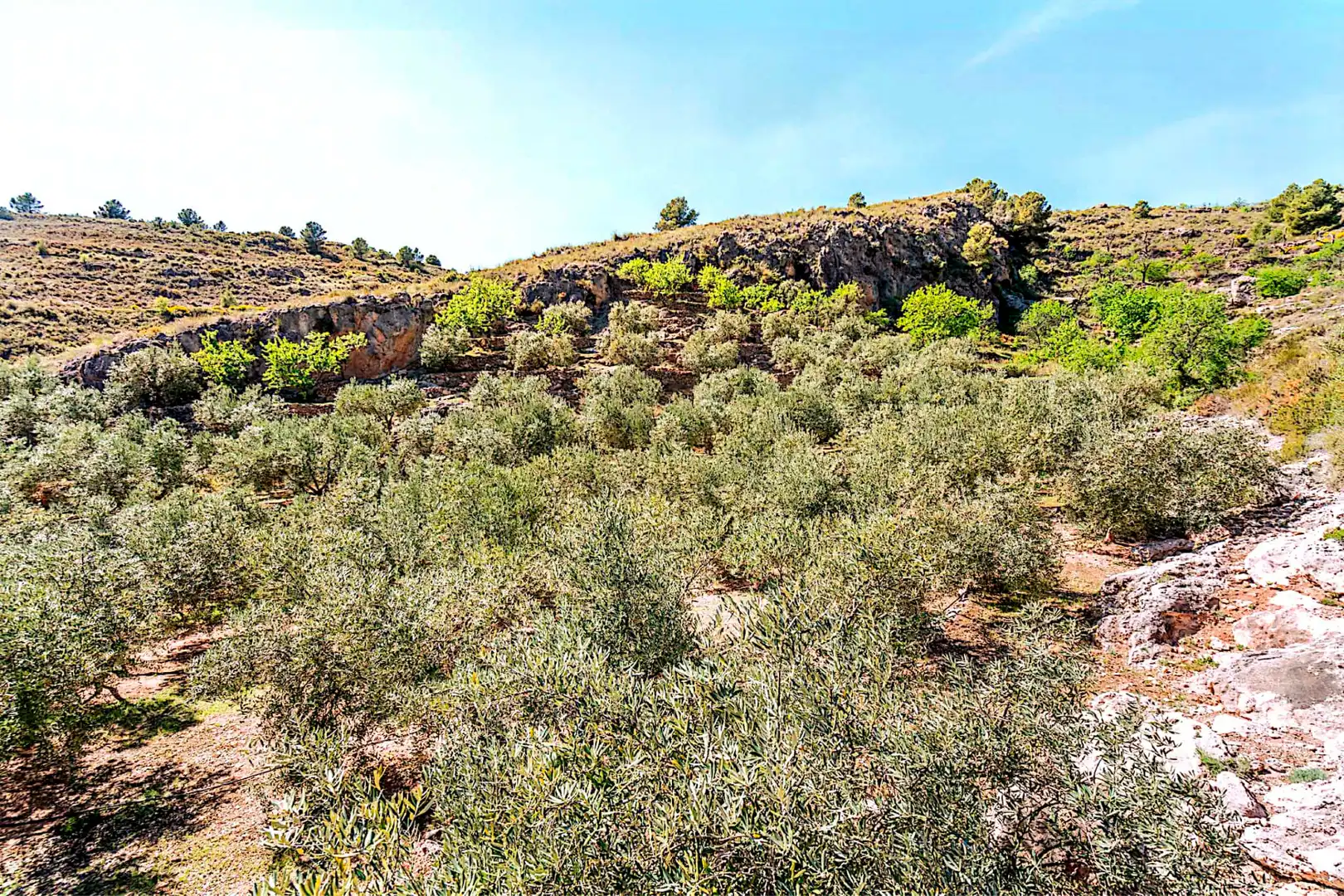 Terrain rustique à vendre à El Pinar, imagen 9