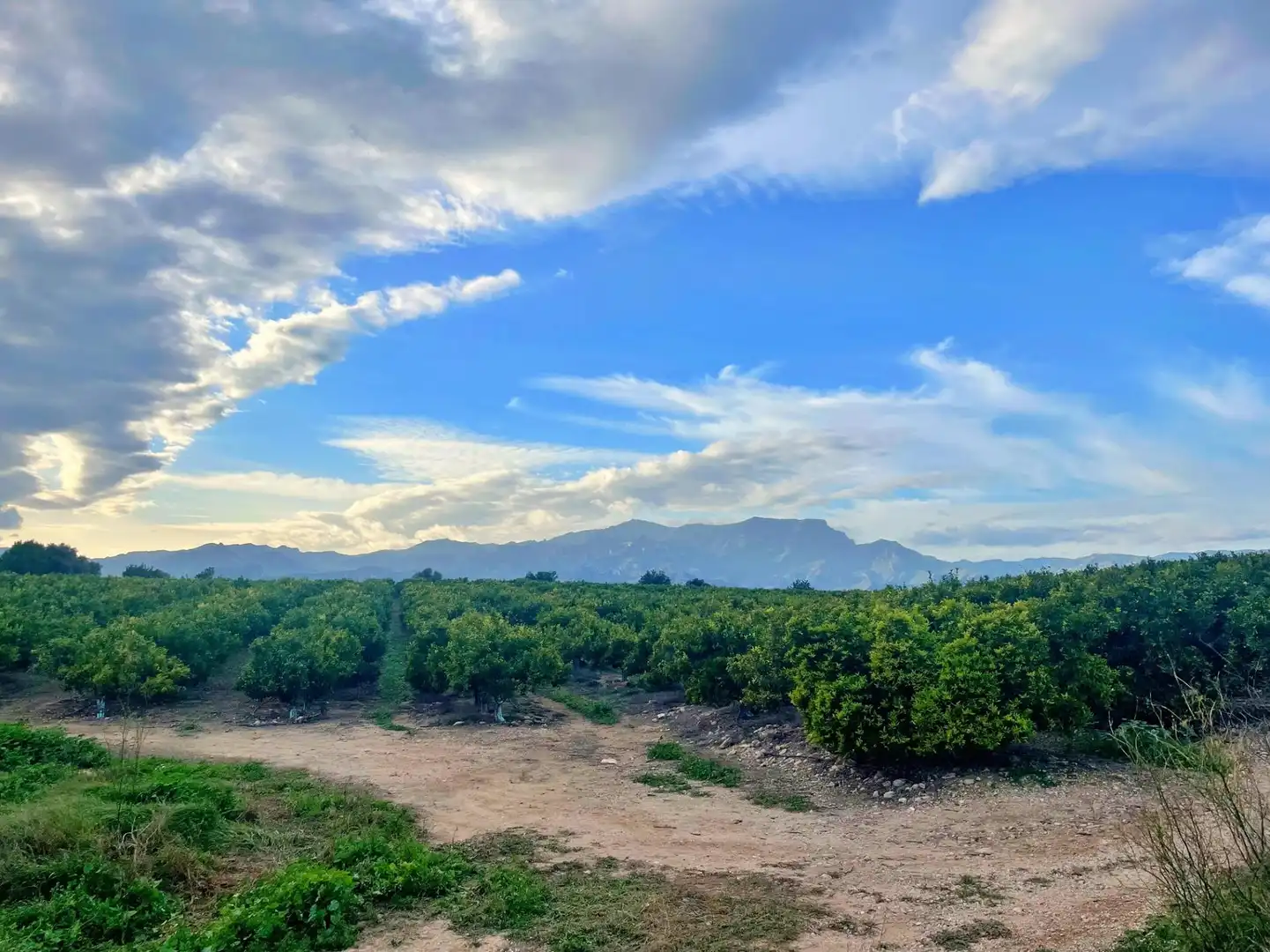 Casa o chalet en venta en Tortosa