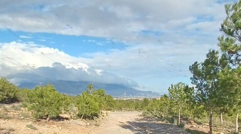 ¡Buena oportunidad! Terreno rustico, imatge 3