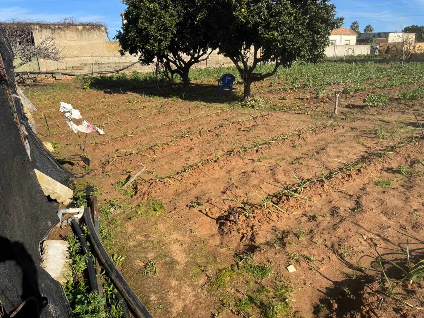 Garden of Country homes for sale in Sanlúcar de Barrameda  with Private garden, Terrace and Storage room