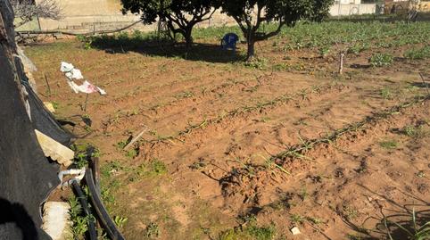 Foto 2 de Finca rústica en venda a Camino del Moral, 3, La Jara, Sanlúcar de Barrameda