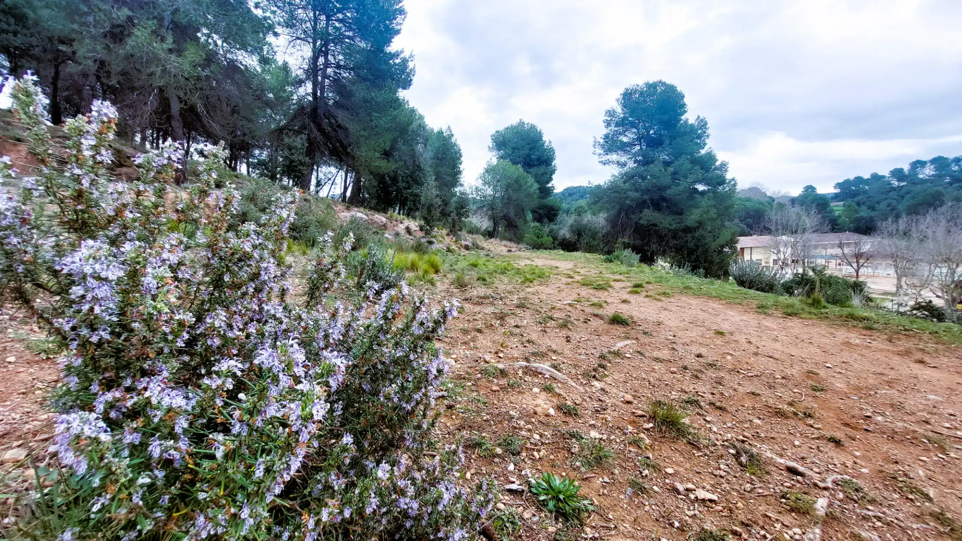 Residential land for sale in Carrer de Gallifa, imagen 4