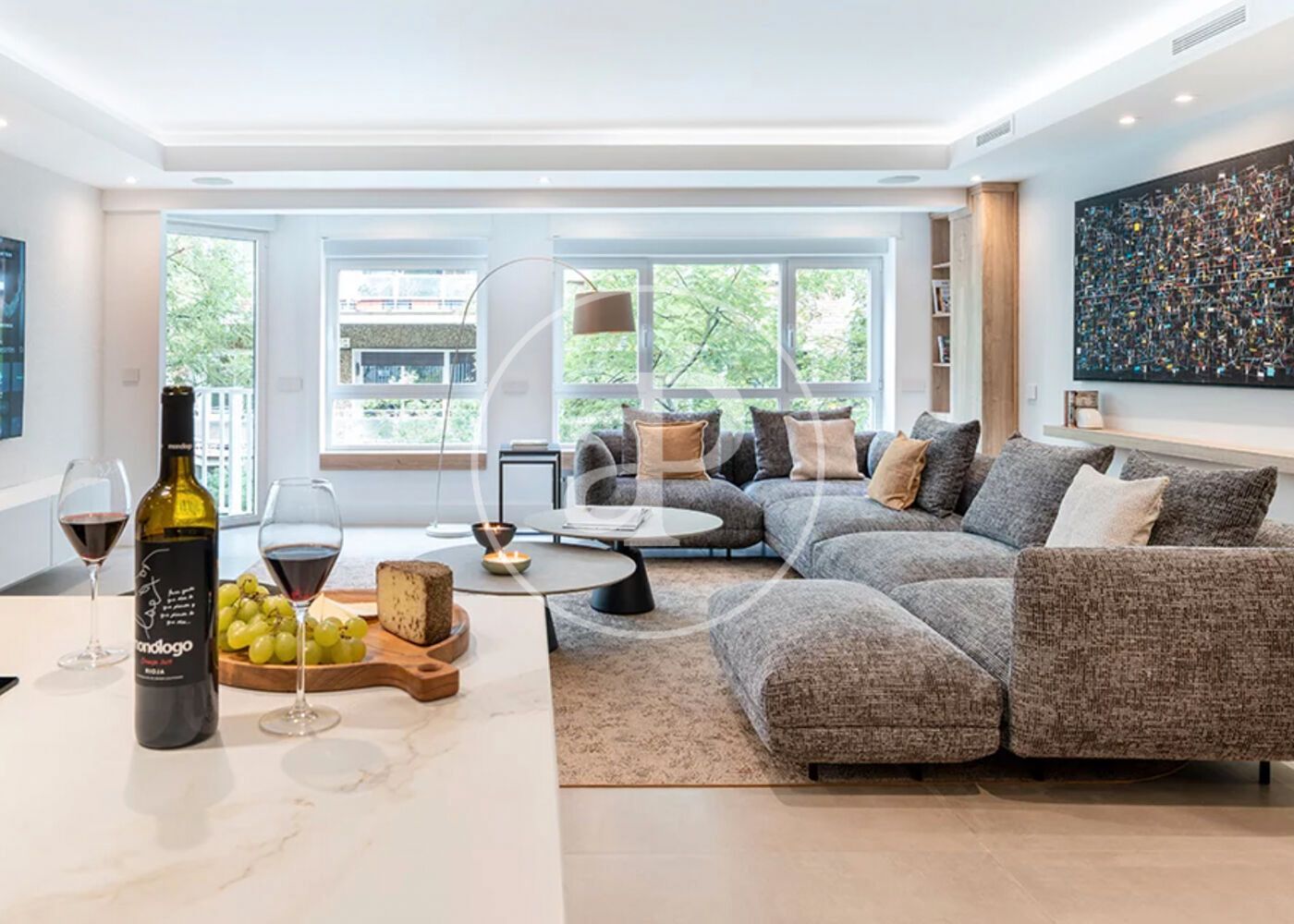 Living room of Flat to rent in  Madrid Capital  with Air Conditioner, Heating and Furnished