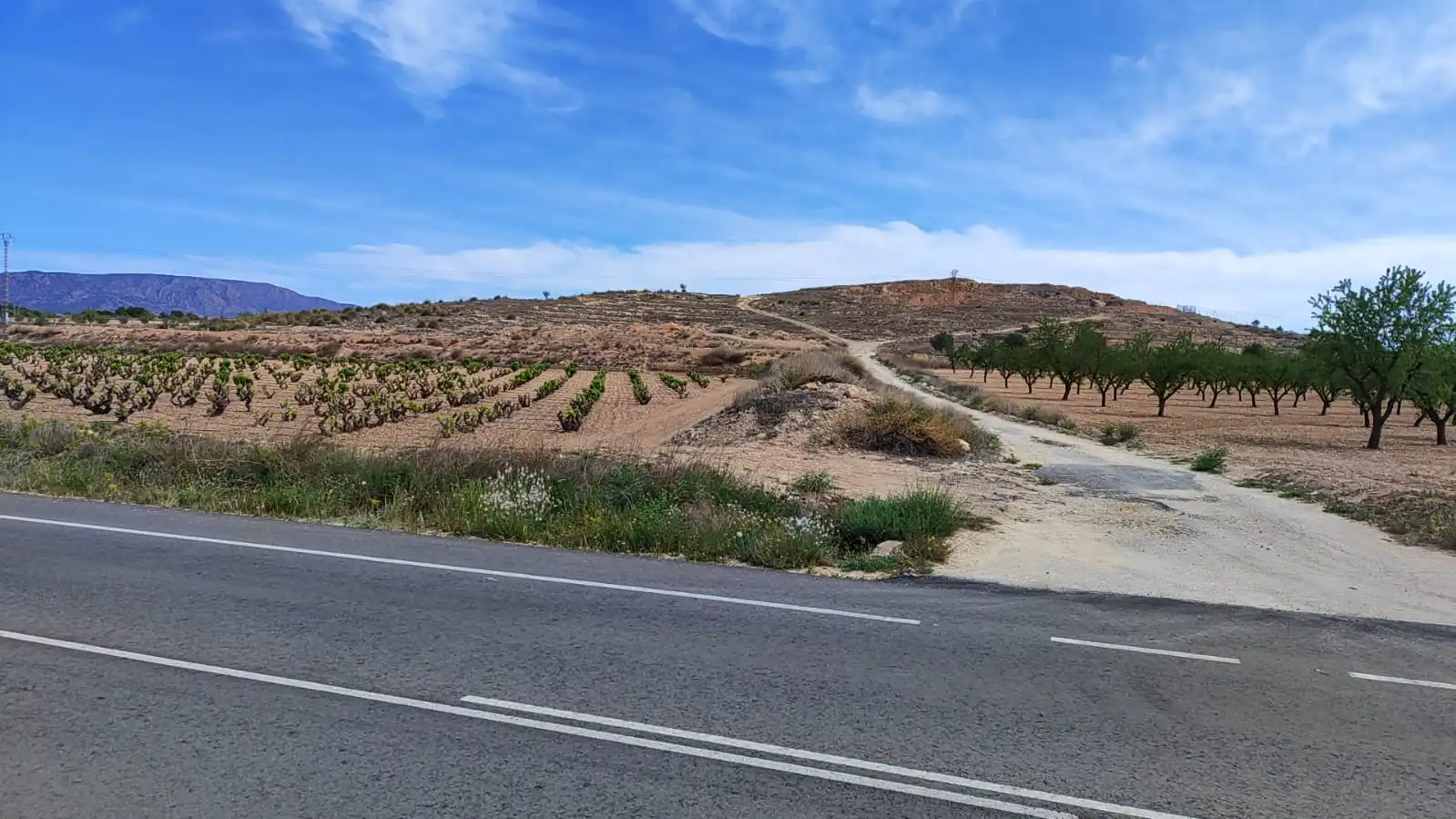 Terreno en venta en Camino del Toscar, 11, El Pinós / Pinoso