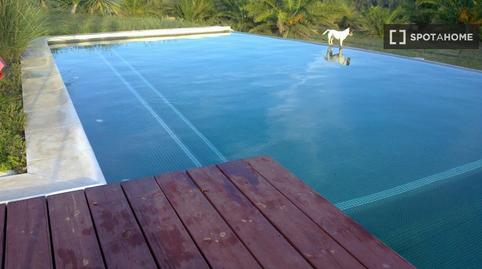 Photo 2 of Study to share in Cártama, Málaga