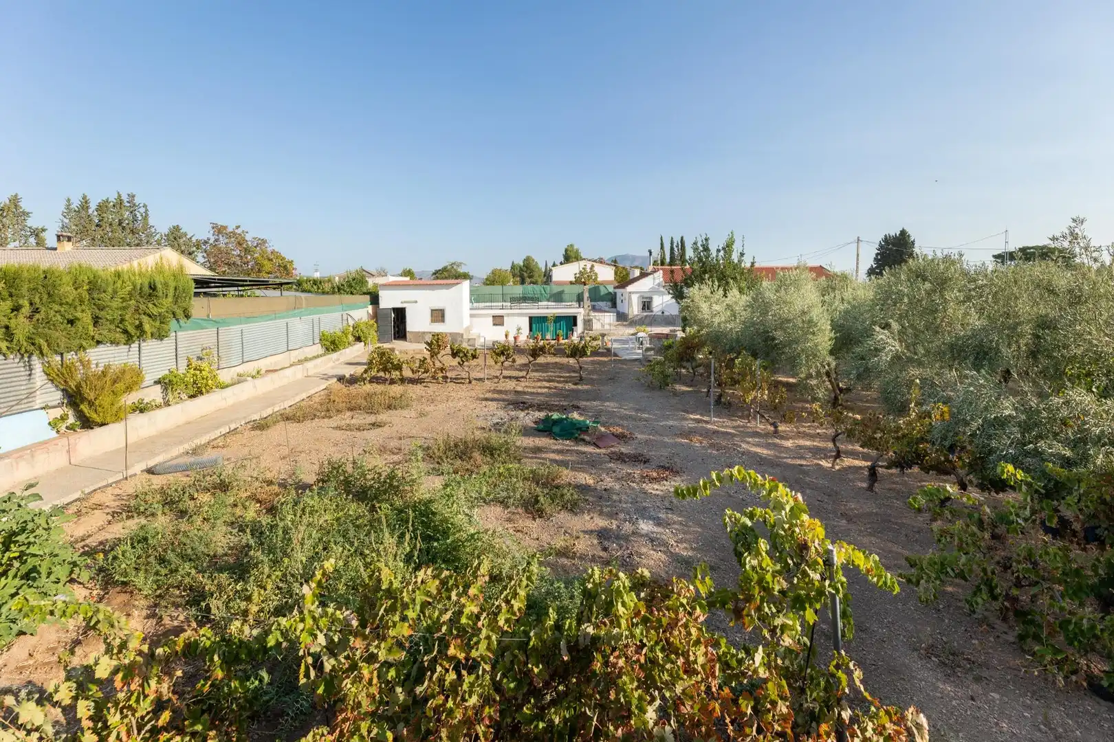 Casa rústica amb piscina en venda a Moraleda de Zafayona, imagen 19