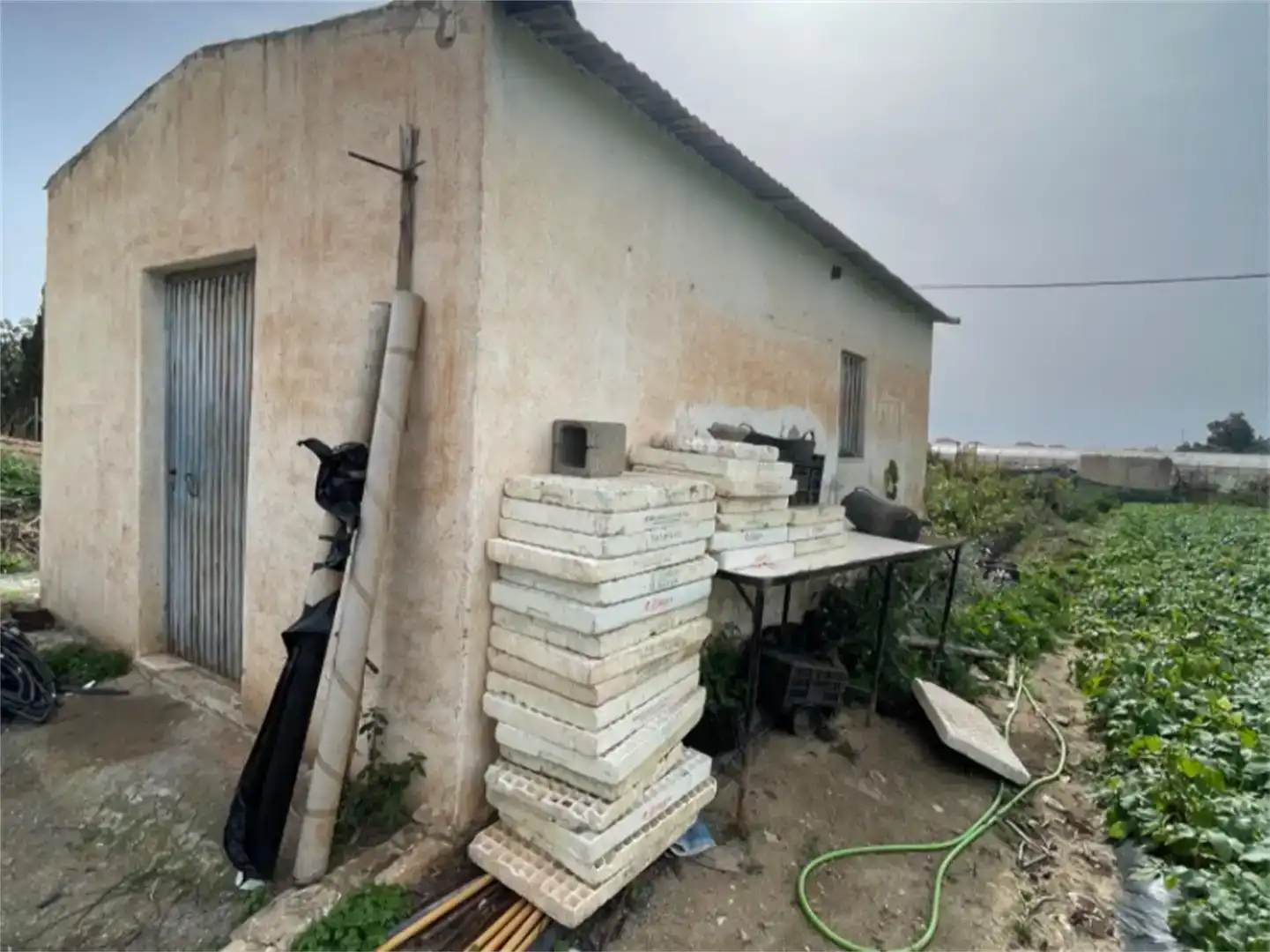 Finca rústica en venda en Algarrobo