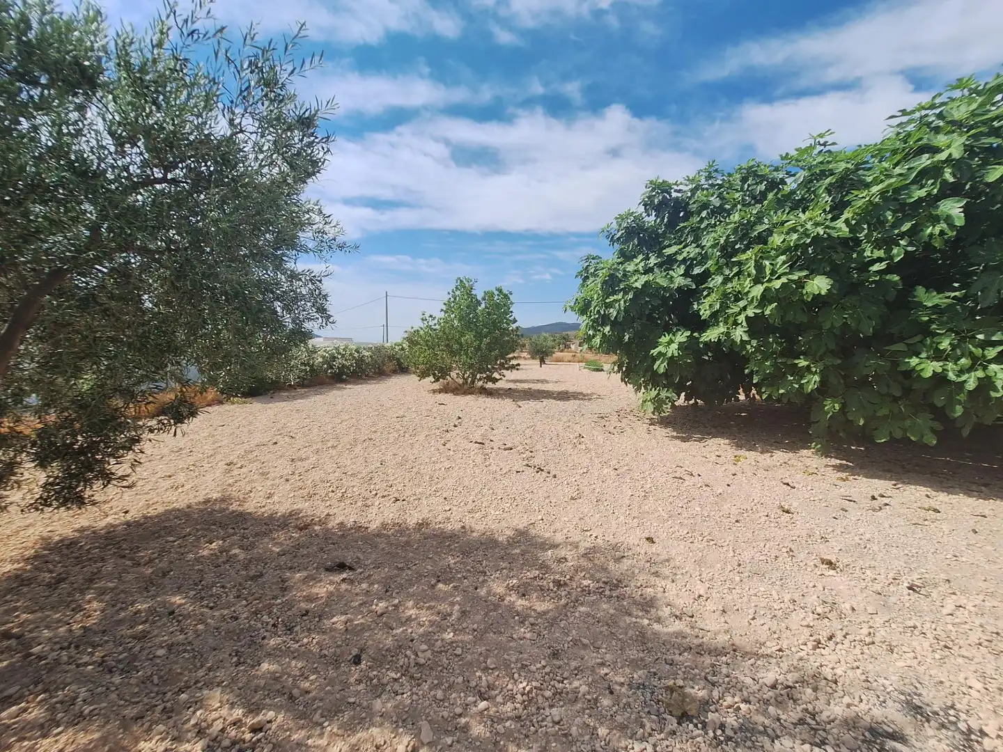 Casa o xalet en venda en Monóvar  / Monòver amb Aire condicionat, Calefacció i Jardí privat