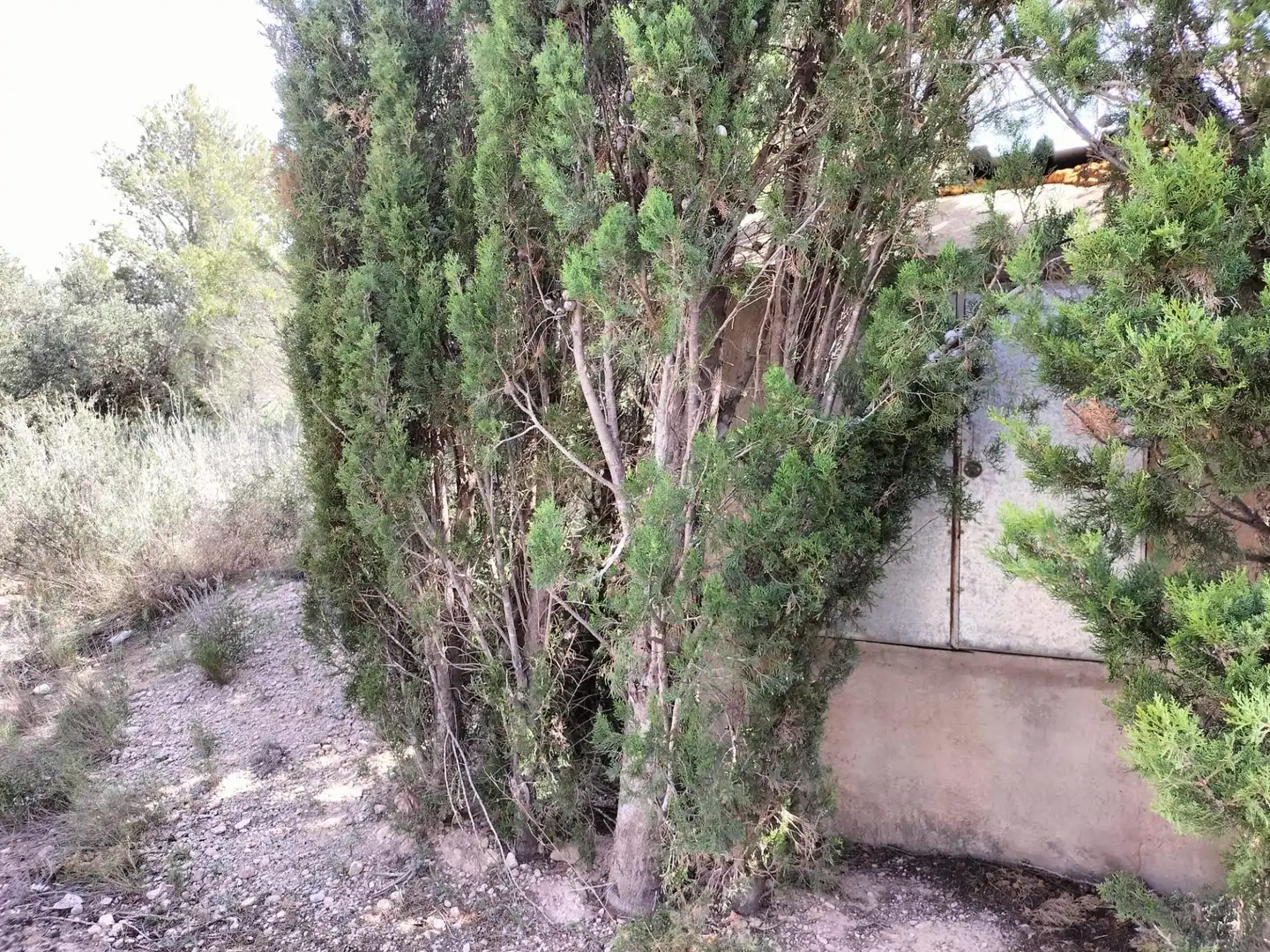 Rustikales Grundstück zum Verkauf in Poble, imagen 14