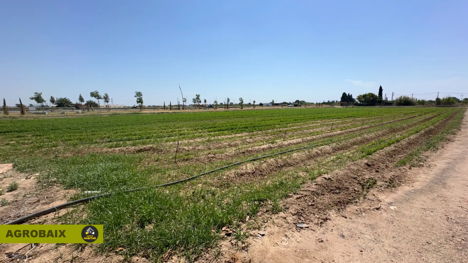 Terreno rustico in vendita a Vilamarina, imagen 14
