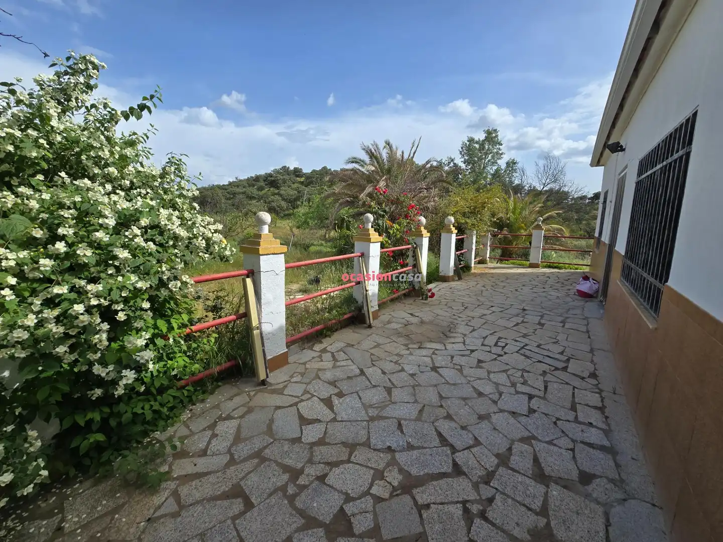 Jardí de Casa o xalet en venda en Alcaracejos