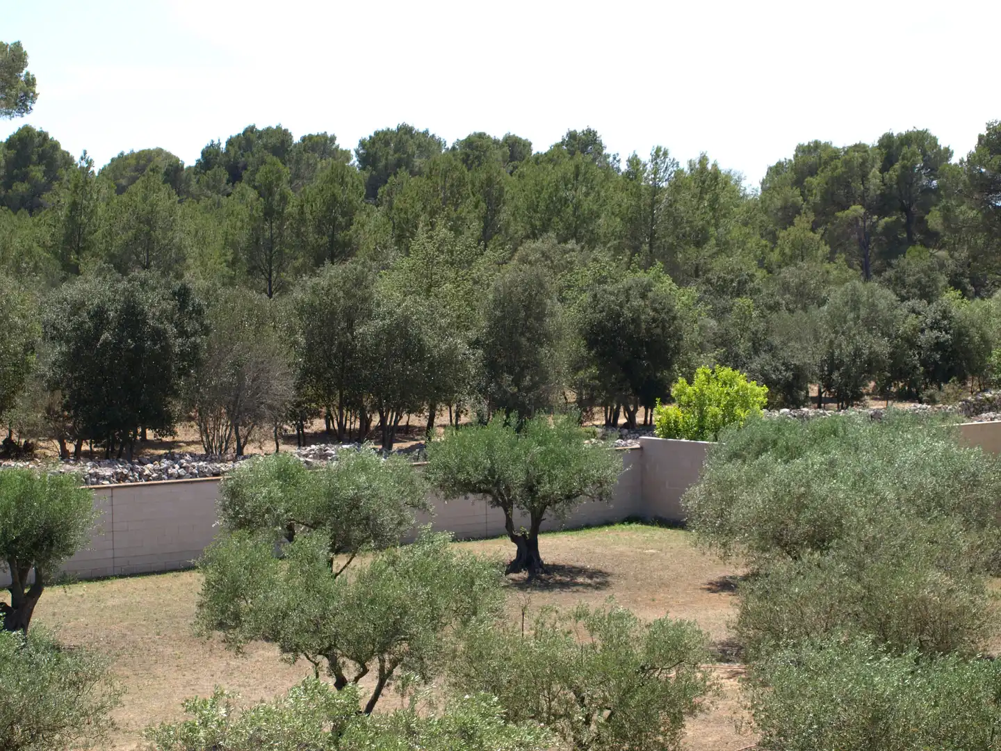 Terreno residencial en venta en Riells, imagen 2