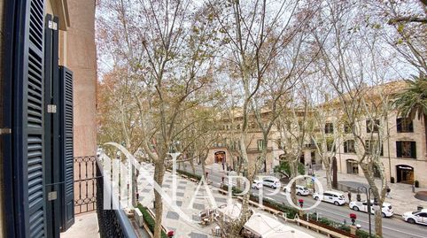 Photo 4 of Flat for rent in Del Born, Sant Nicolau, Palma de Mallorca