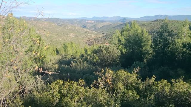 Terreno en Venta en San Fernando - Carretera de Valencia