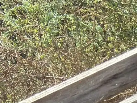 Jardín de Terreno en venta en Elche / Elx