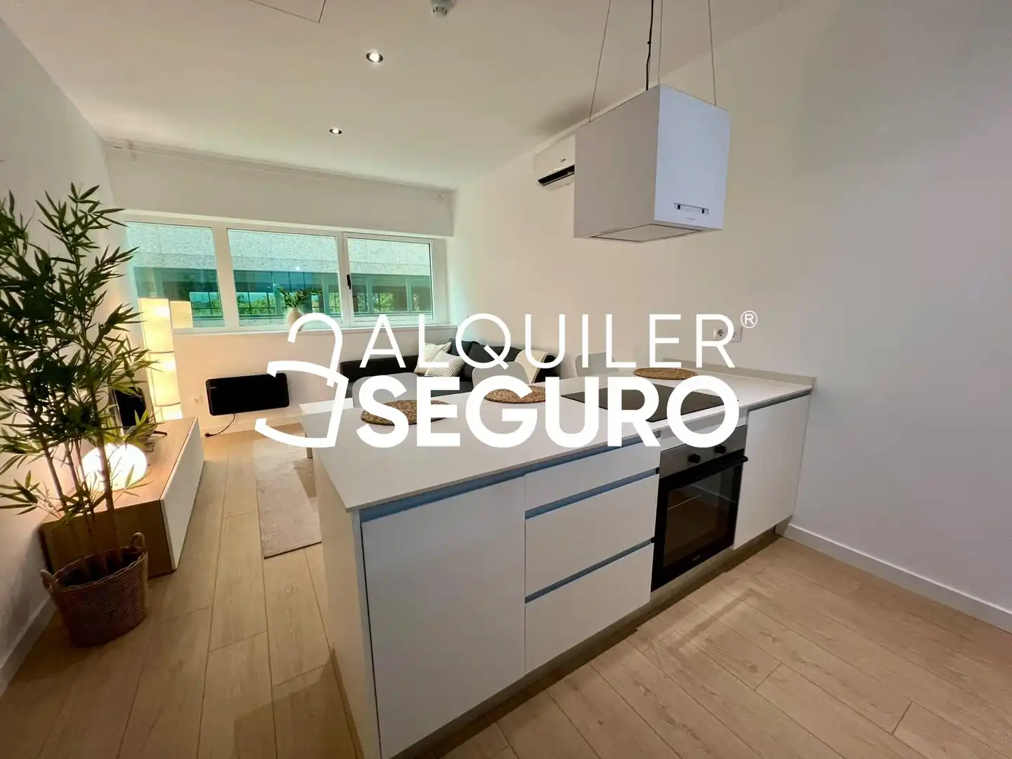 Loft con ascensor en alquiler en Tenerife, imagen 2