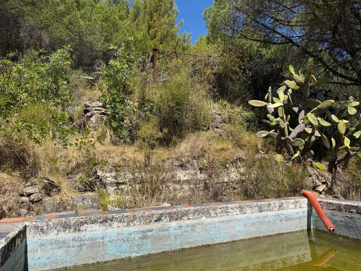 Country house with pool for sale in Cami de La Pedrera, imagen 27