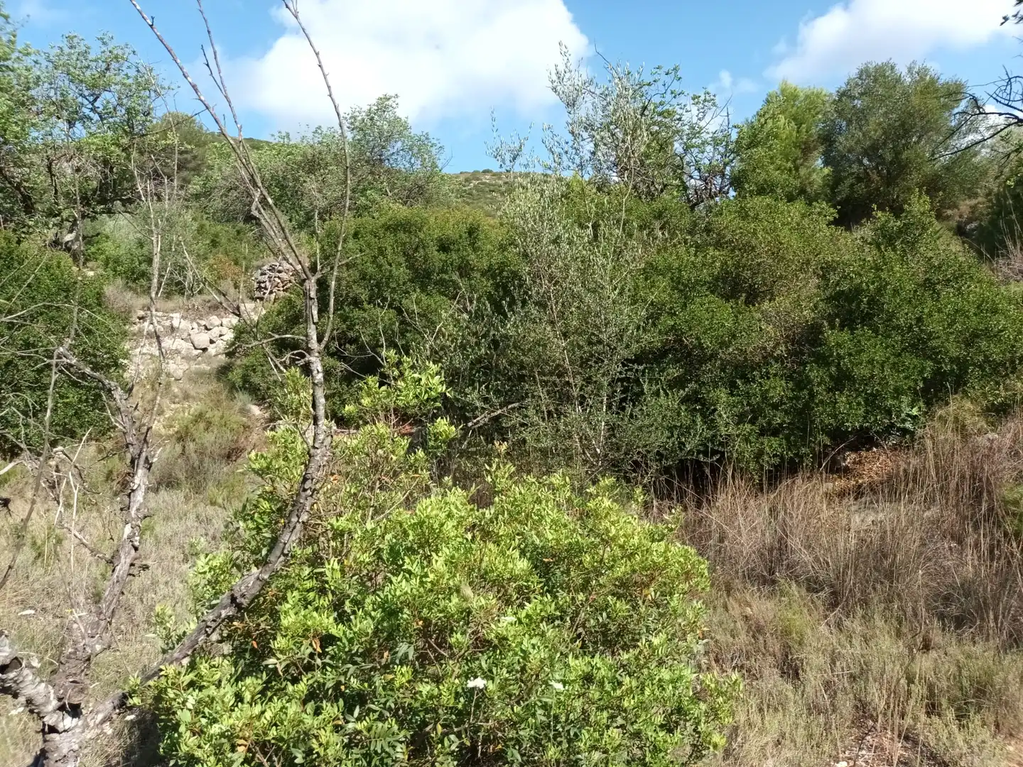 Terreno en venta en Benigànim