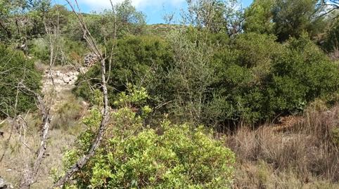 Photo 2 of Land for sale in Portichol, Pol 24, -1, Benigànim, Valencia