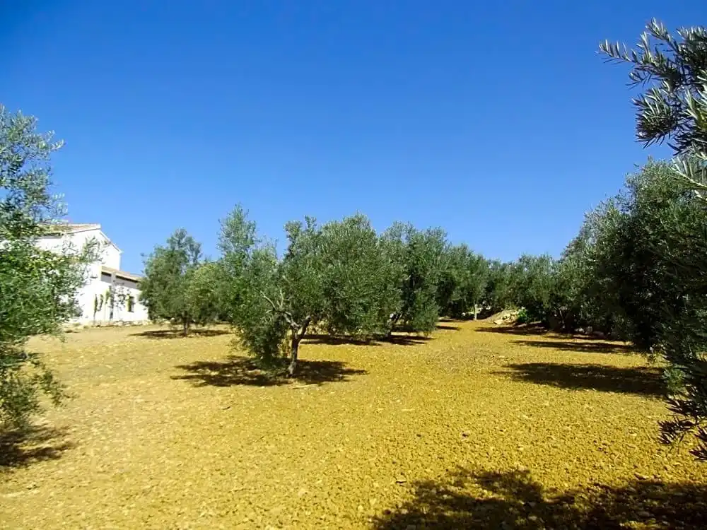 Casa en venda a Villanueva de la Concepción, imagen 23